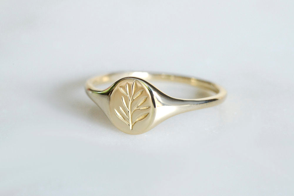 gold mini signet ring - olive branch