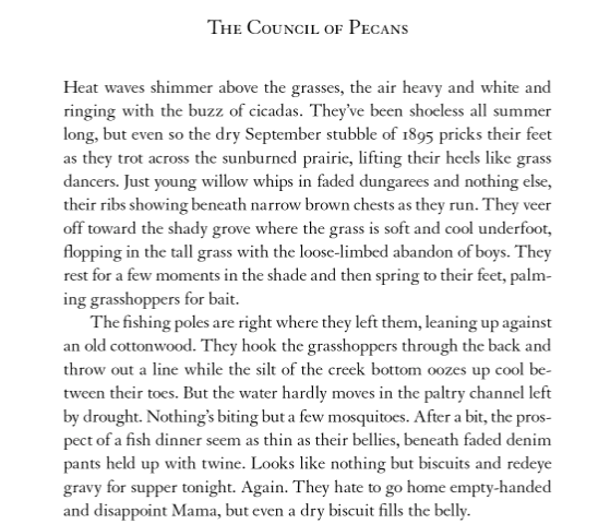 braiding sweetgrass
