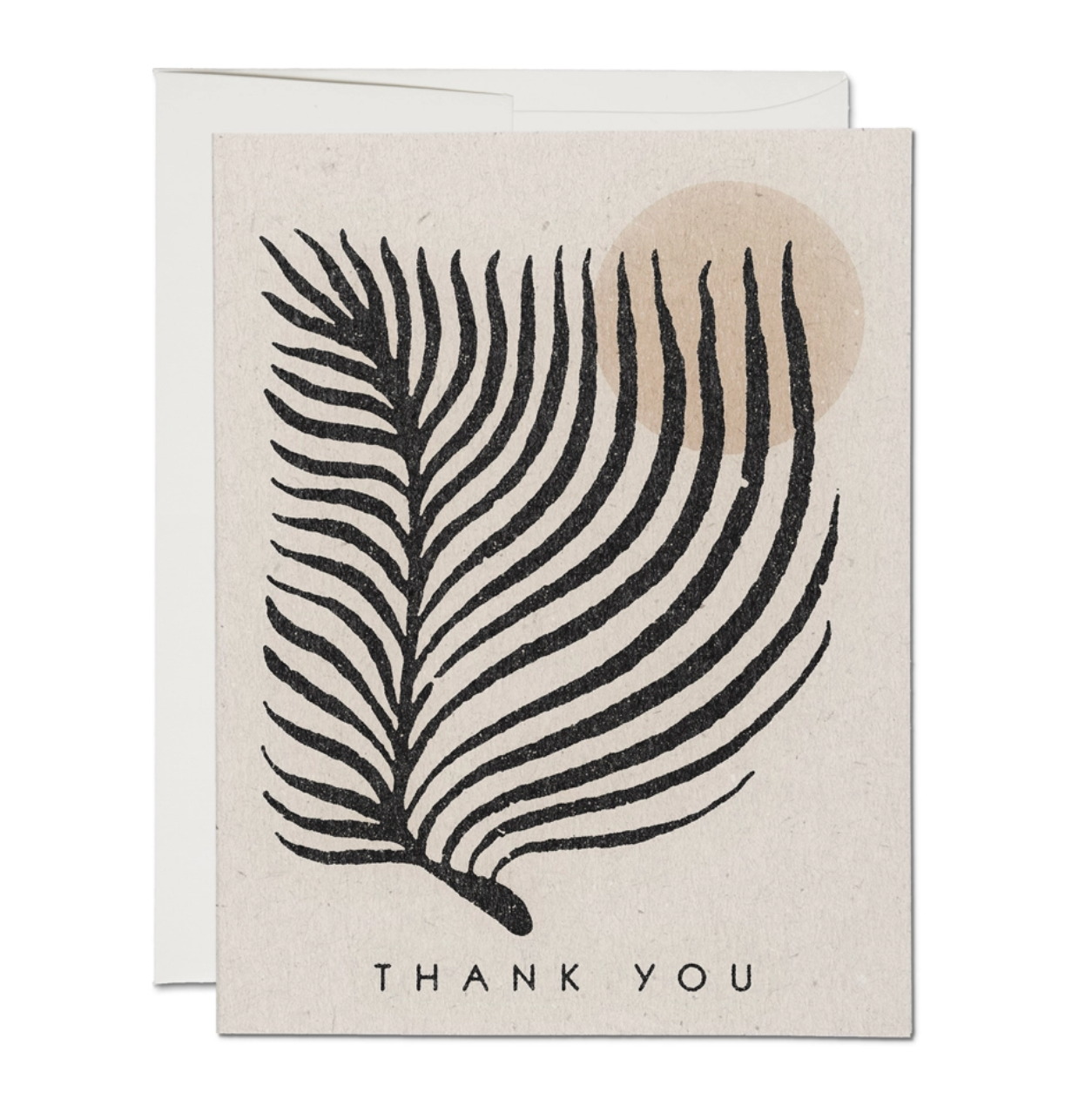 palm sun card