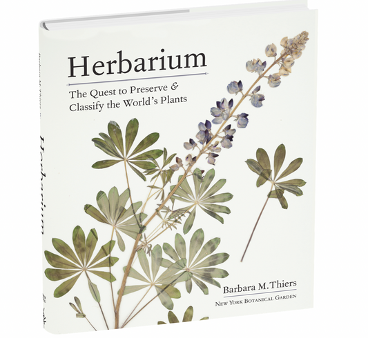 herbarium
