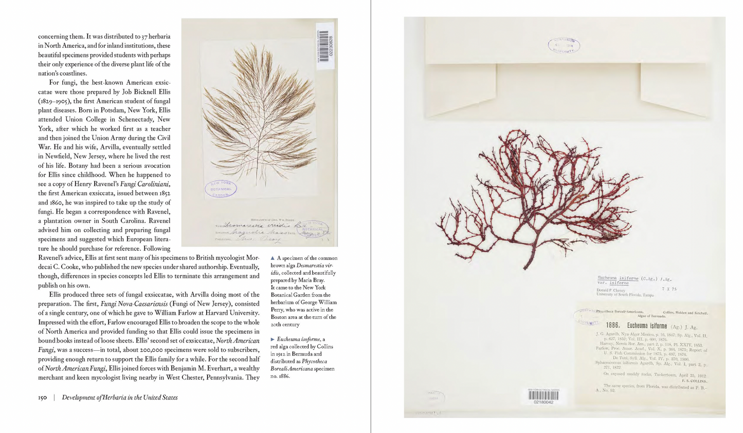 herbarium