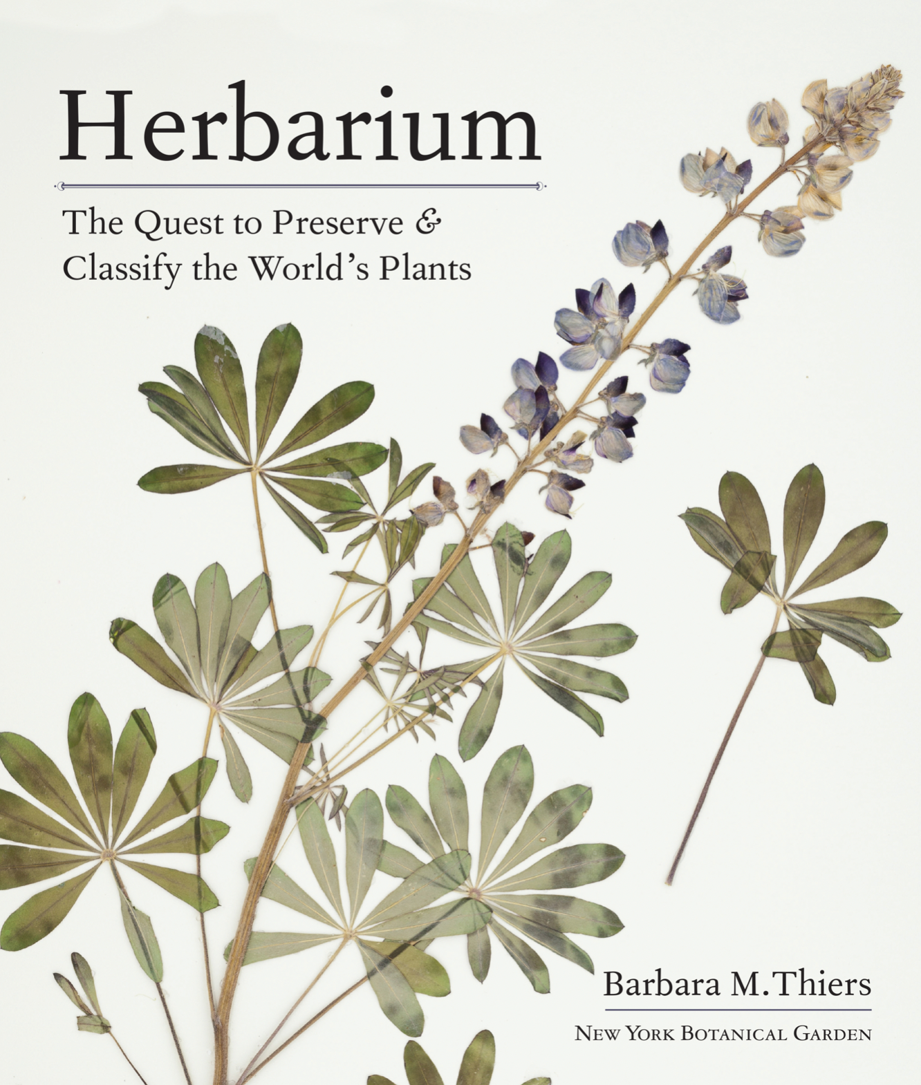 herbarium