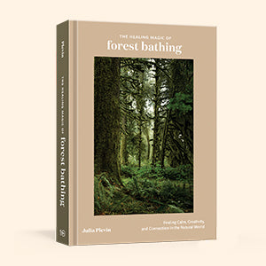 the healing magic of forest bathing: finding calm, creativity, and connection in the natural world