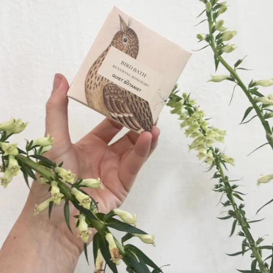 the quiet botanist / handmade soap - bird bath