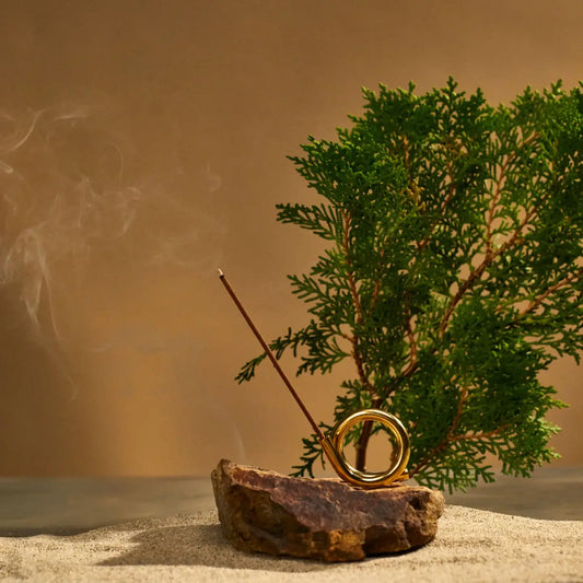 subtle bodies / taiwanese hinoki incense