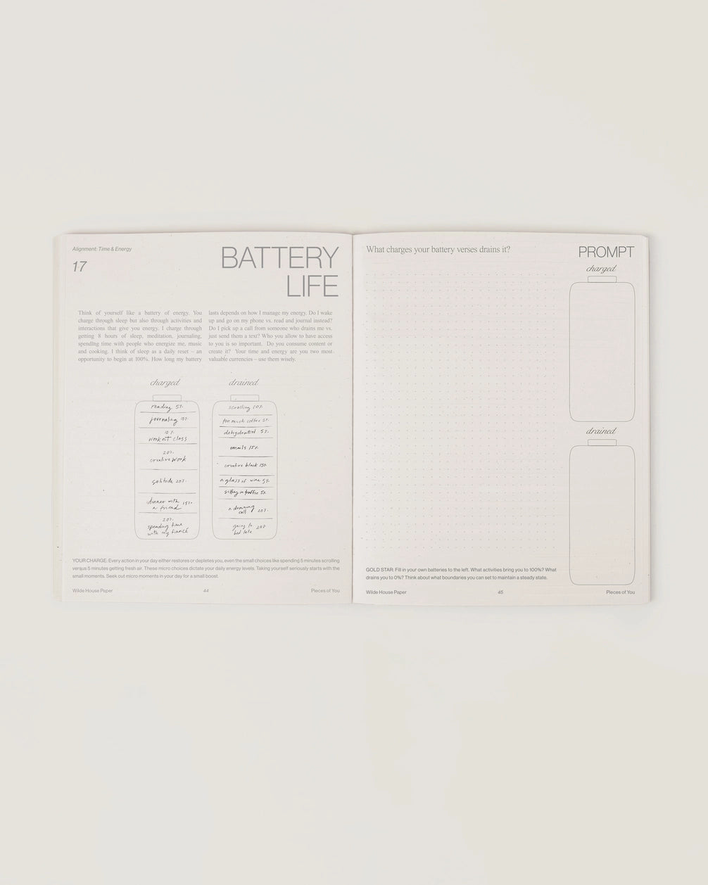 wilde house paper / pieces of you journal