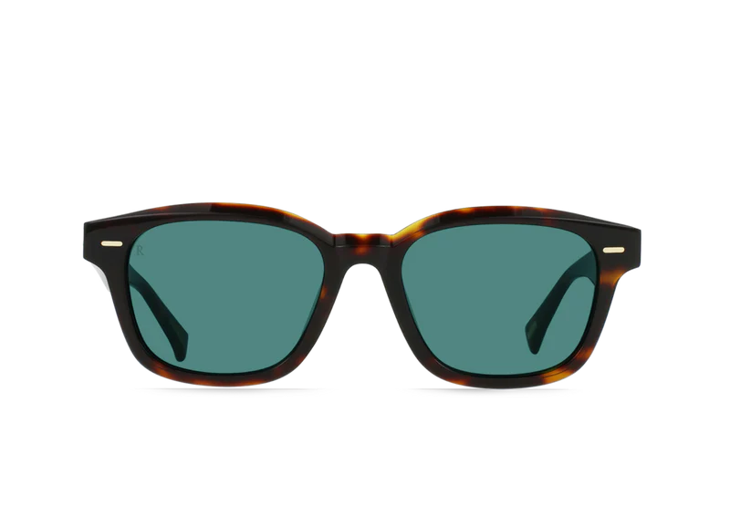 RAEN / carby sunglasses - kola tortoise
