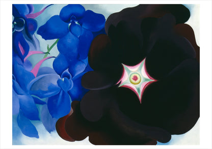 georgia o'keeffe paintings boxed notecard set