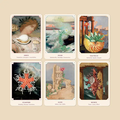 the seashell oracle deck & guidebook