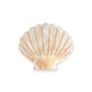 eco-friendly shell hair clip