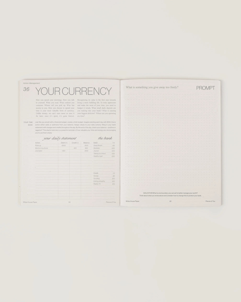 wilde house paper / pieces of you journal