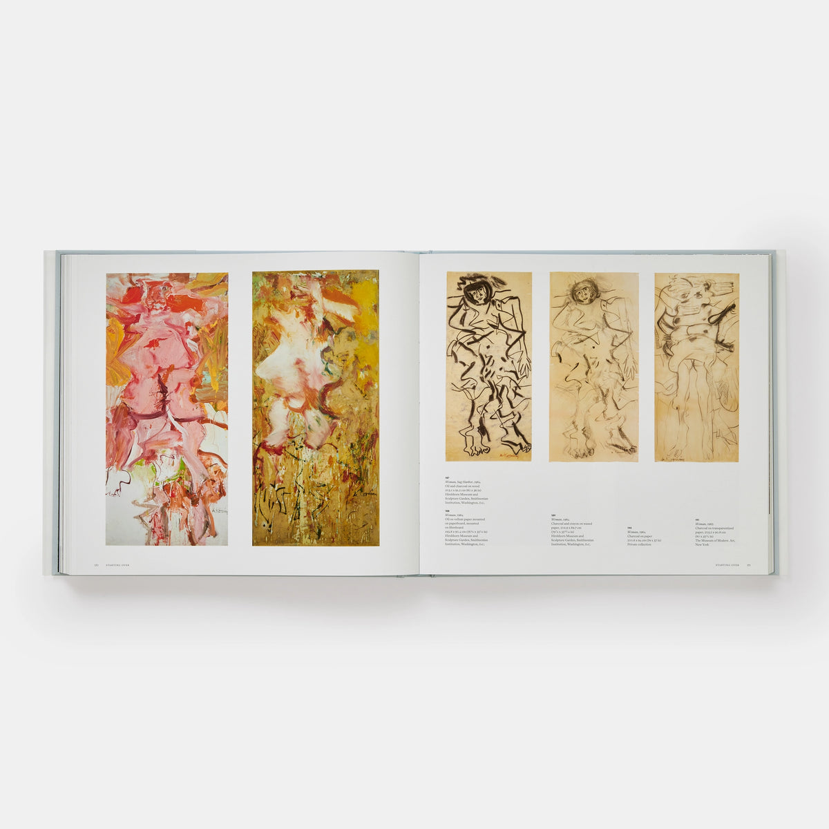 a way of living: the art of willem de kooning