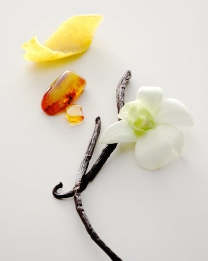 maison louis marie / eau de parfum - no.15 vanilla infinie