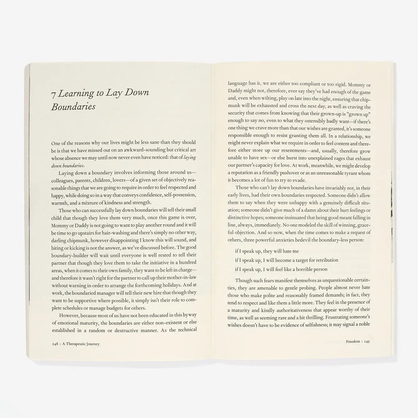 a therapeutic journey