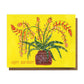 happy birthday cactus card