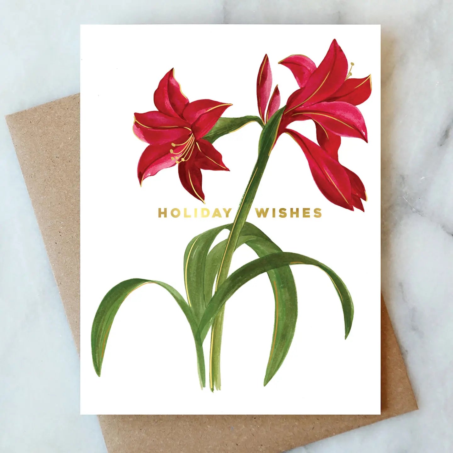 amaryllis holiday wishes greeting card