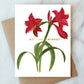 amaryllis holiday wishes greeting card