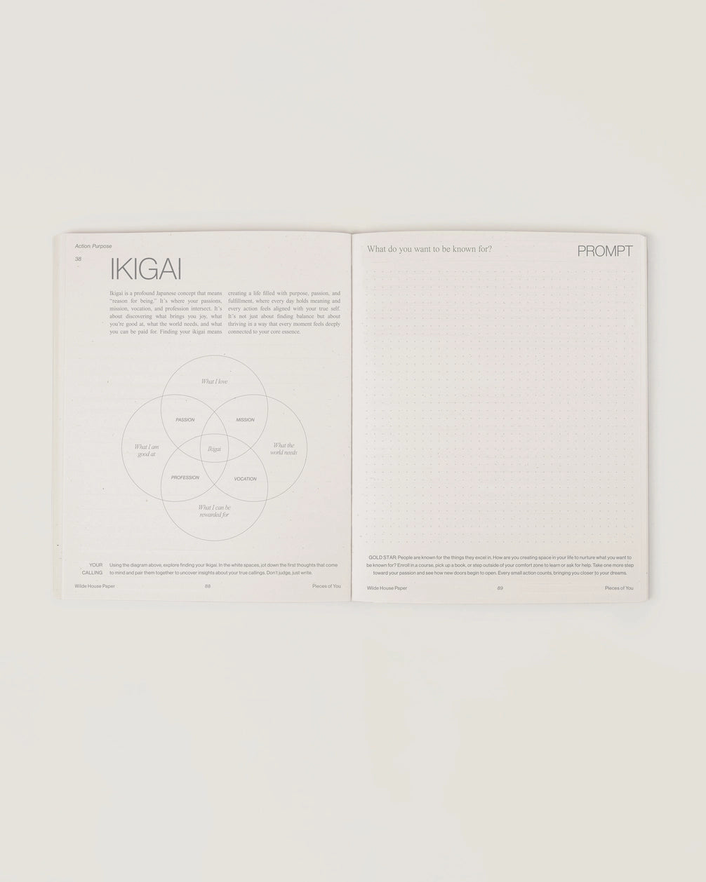 wilde house paper / pieces of you journal