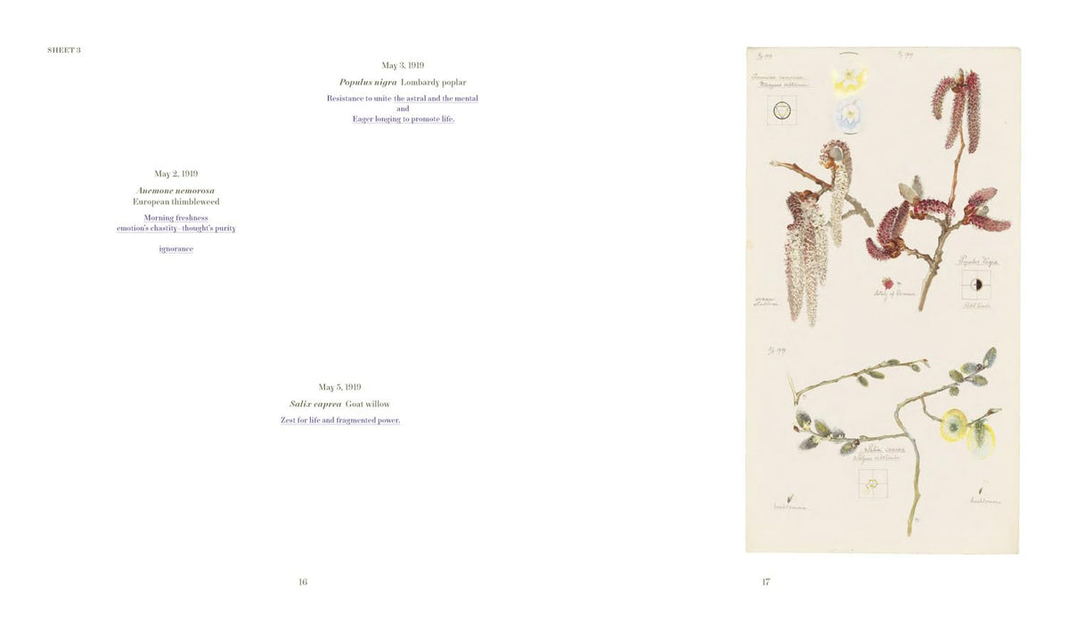 hilma af klint: what stands behind the flowers