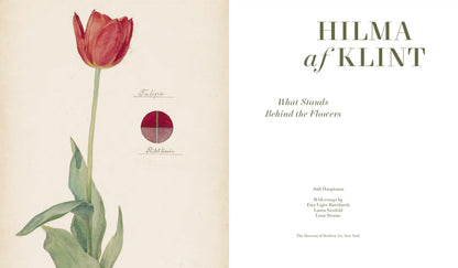 hilma af klint: what stands behind the flowers