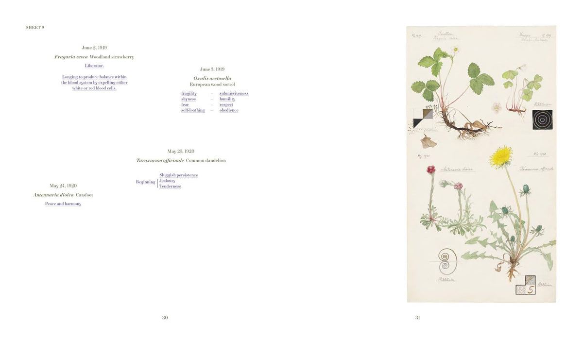 hilma af klint: what stands behind the flowers