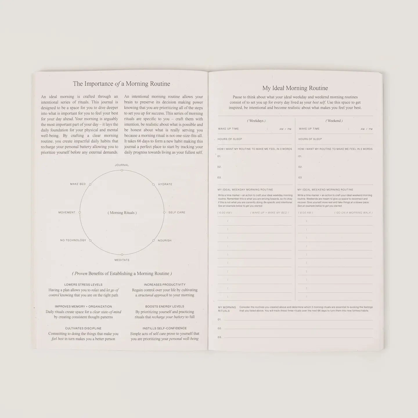 wilde house paper / morning routine journal