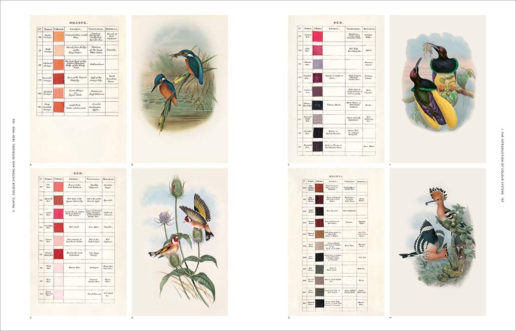 the anatomy of color