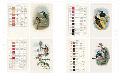 the anatomy of color