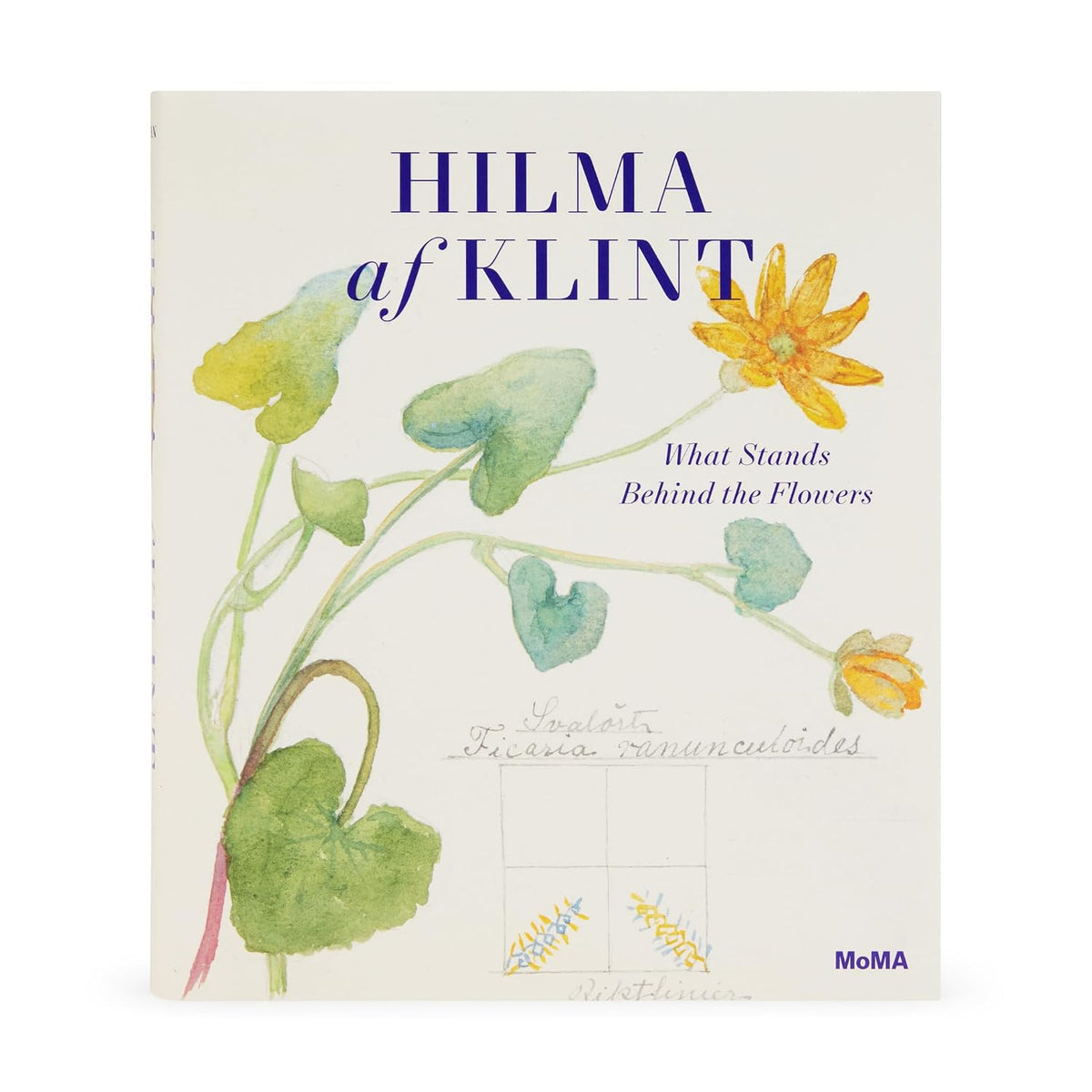 hilma af klint: what stands behind the flowers