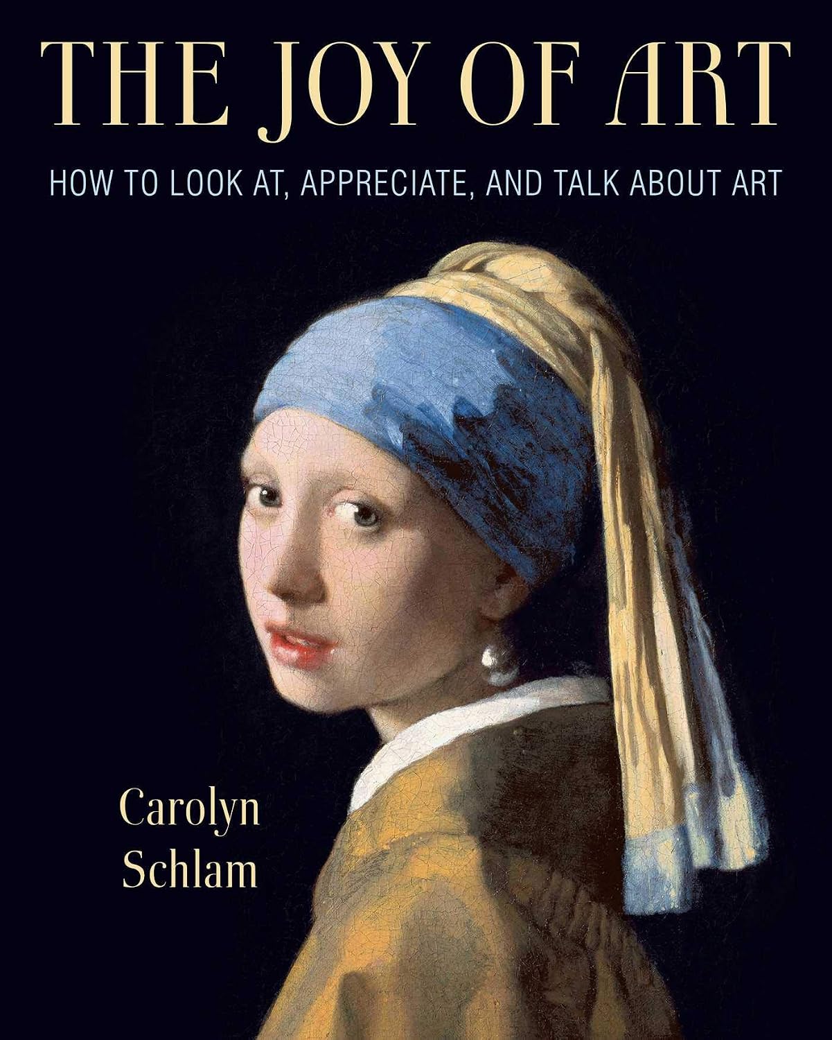 the joy of art: how to look at, appreciate, and talk about art