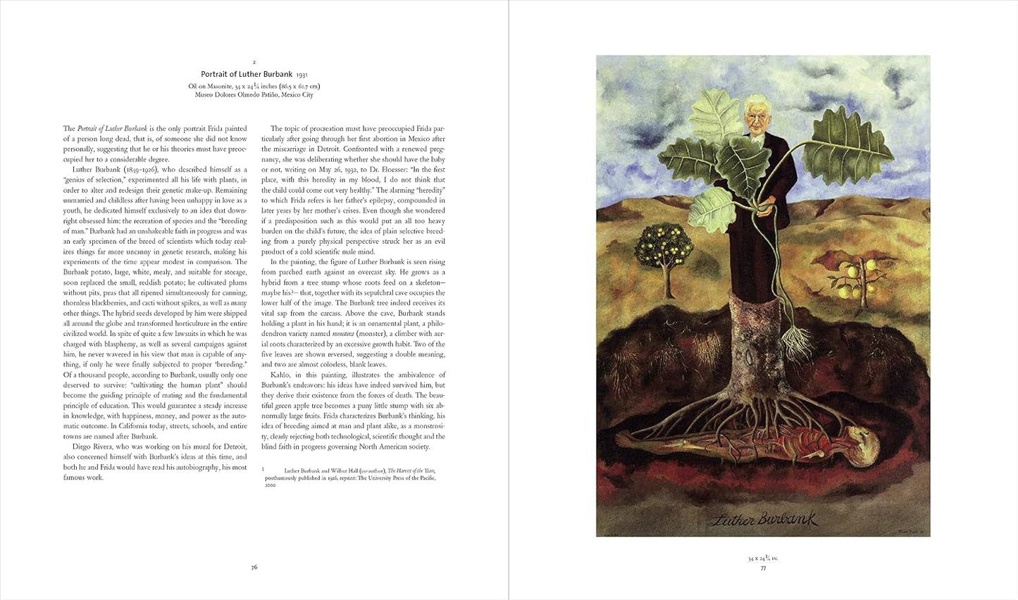frida kahlo: the painter and her work