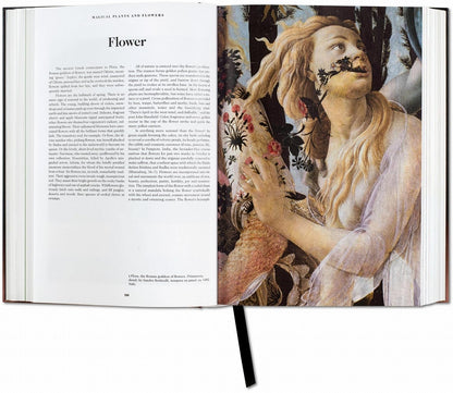 the book of symbols
