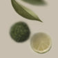 belnu / eau de parfum - bergamot brio