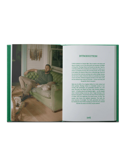 flamingo estate: the guide to becoming alive