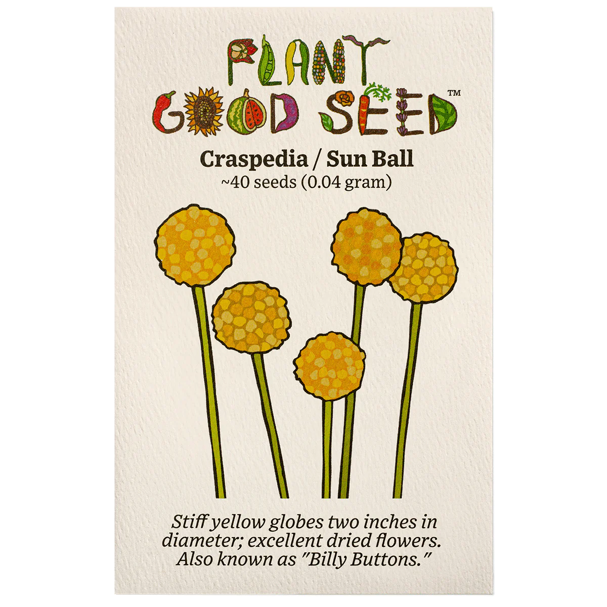 plant good seed / craspedia