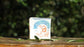 palestinian soap cooperative / nablus soap - the camel