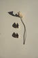 raindrop earrings