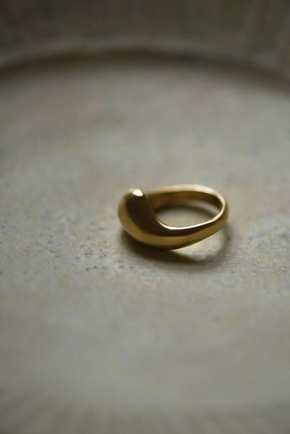 ring no.61
