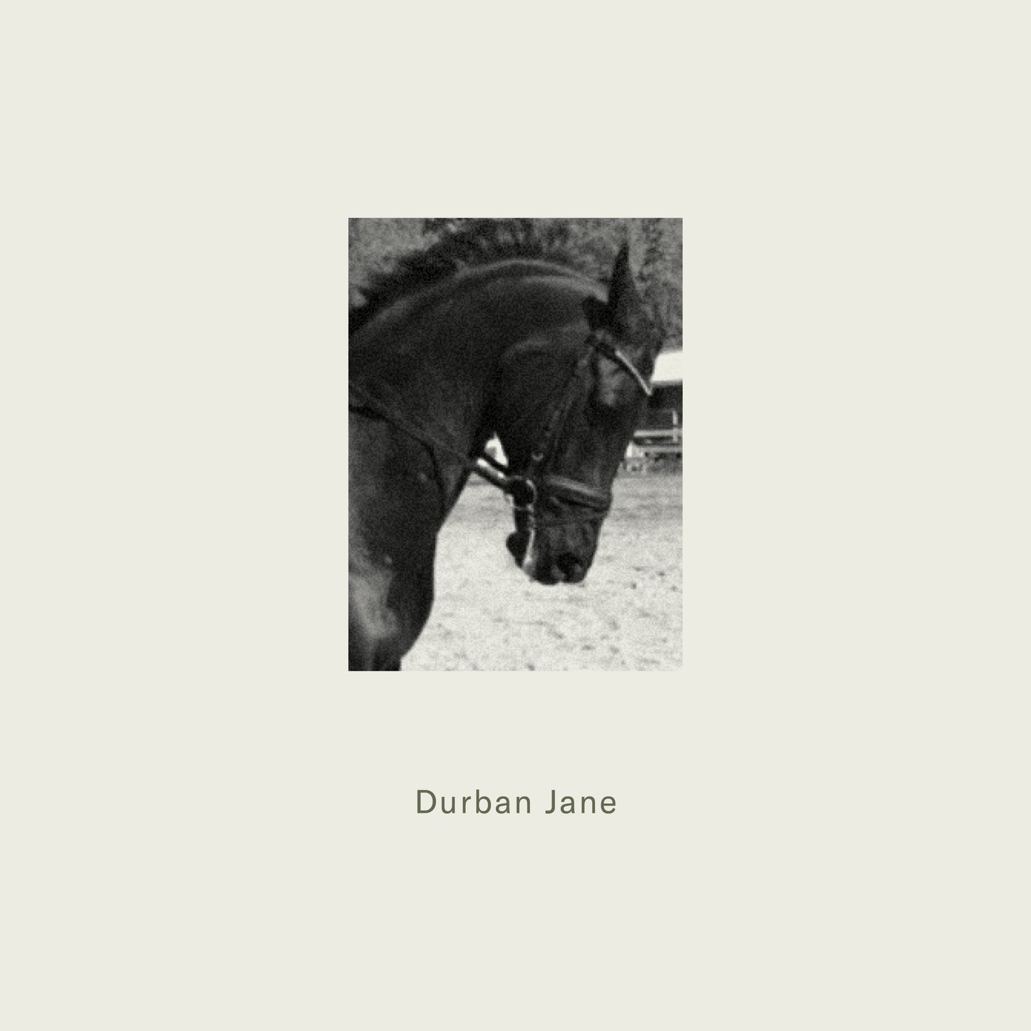 maison d'etto / eau de parfum - durban jane