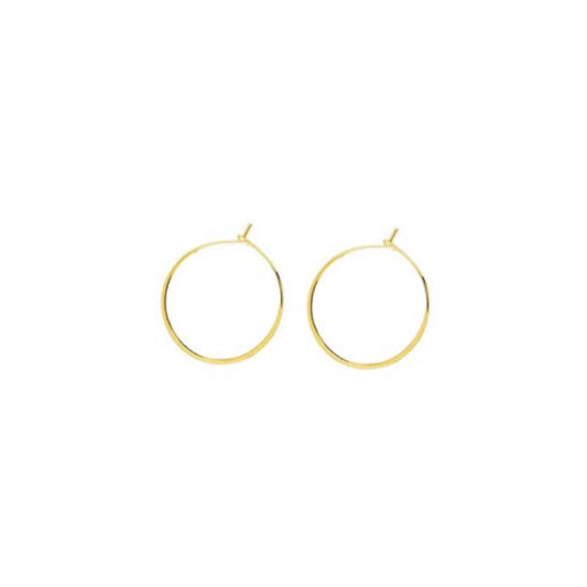 round wire hoop earrings