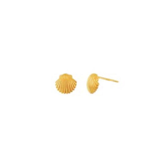shell stud earrings