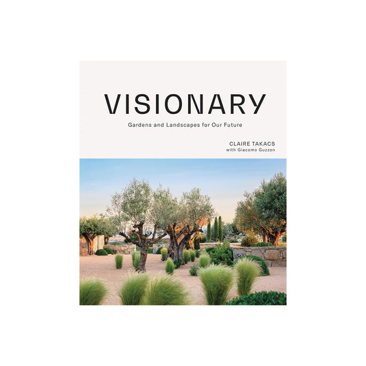 visionary