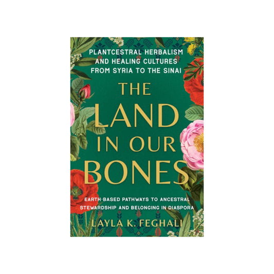the land in our bones