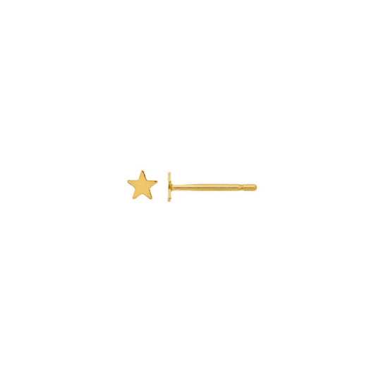 stud earrings / tiny star