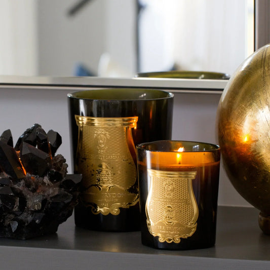 trudon / candle - tuileries