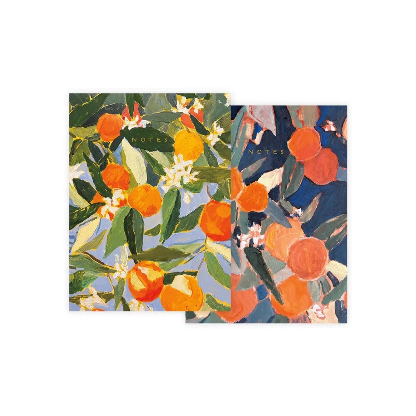 seedlings / notebook set - sunny oranges