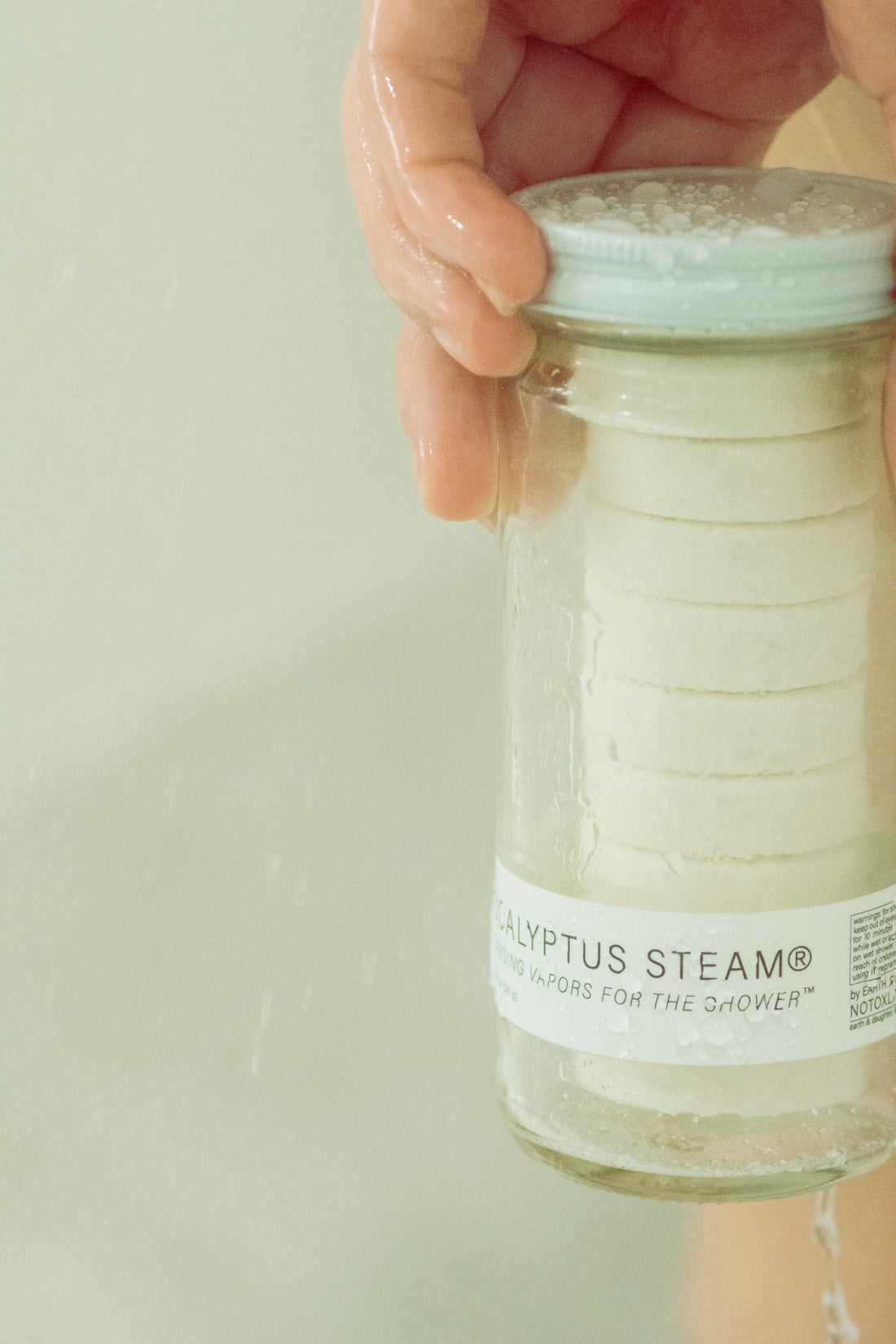 eucalyptus steam jar