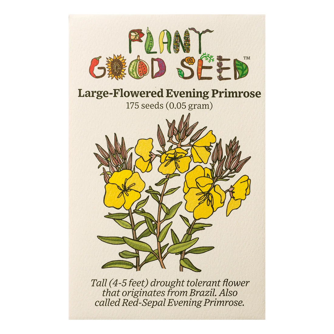 plant good seed / large flowered evening primrose