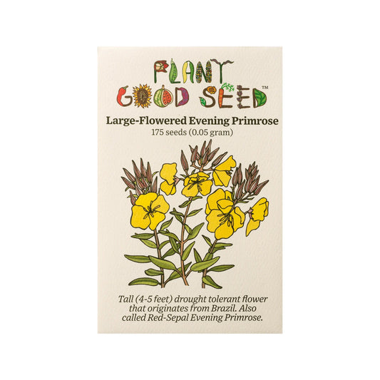 plant good seed / large flowered evening primrose
