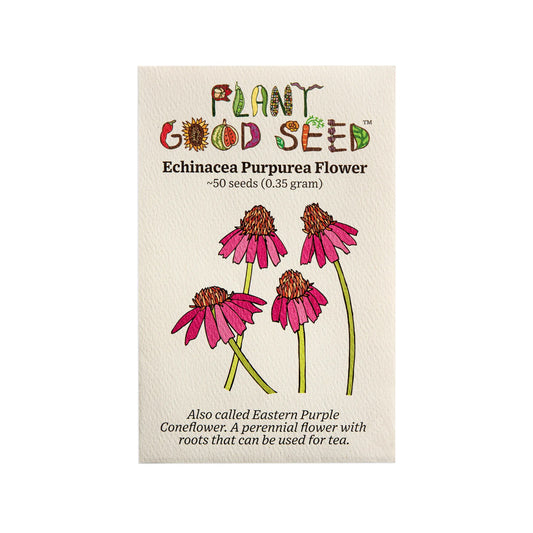plant good seed / echinacea purpurea